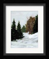 Winter on Grand Mesa Fine Art Print