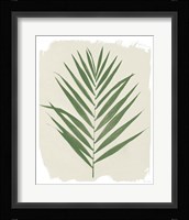 Nature By the Lake Frond III Cream Framed Print