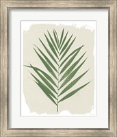 Nature By the Lake Frond III Cream Fine Art Print