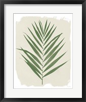 Nature By the Lake Frond III Cream Framed Print