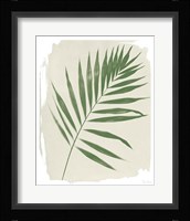 Nature By the Lake Frond II Cream Framed Print