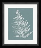 Nature by the Lake Ferns VI Gray Mist Crop Framed Print