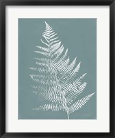 Nature by the Lake Ferns VI Gray Mist Crop Framed Print