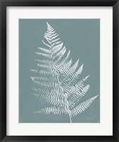 Nature by the Lake Ferns VI Gray Mist Crop Framed Print