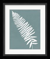 Nature by the Lake Ferns IV Gray Mist Crop Framed Print
