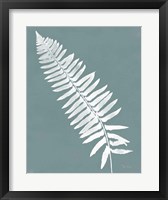 Nature by the Lake Ferns IV Gray Mist Crop Framed Print