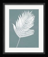 Nature by the Lake Ferns III Gray Mist Crop Framed Print