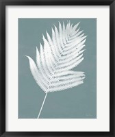 Nature by the Lake Ferns III Gray Mist Crop Framed Print