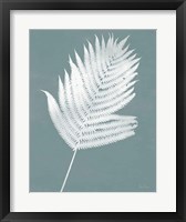 Nature by the Lake Ferns III Gray Mist Crop Framed Print