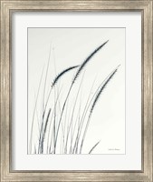 Field Grasses III Crop Fine Art Print