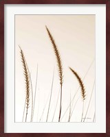 Field Grasses IV Sepia Fine Art Print