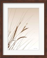 Field Grasses I Sepia Fine Art Print