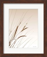 Field Grasses I Sepia Fine Art Print