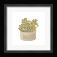 Simple Succulent I Framed Print