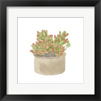 Simple Succulent I Fine Art Print