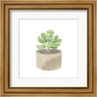 Simple Succulent II Fine Art Print