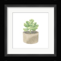Simple Succulent II Fine Art Print