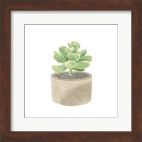 Simple Succulent II Fine Art Print