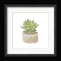 Simple Succulent III Fine Art Print