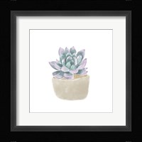 Simple Succulent IV Framed Print