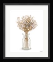 Dried Flower II Framed Print