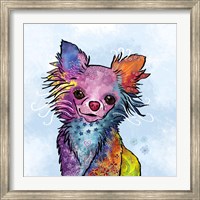 Colorful Pets I Fine Art Print