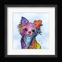 Colorful Pets I Fine Art Print