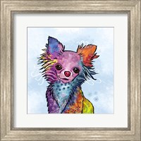 Colorful Pets I Fine Art Print