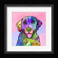 Colorful Pets IV Fine Art Print