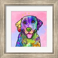 Colorful Pets IV Fine Art Print
