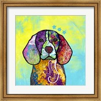 Colorful Pets V Fine Art Print