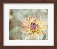 Impression Flower Fine Art Print