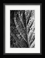 Such a Morning Fine Art Print