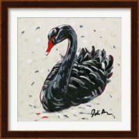 Black Swan Fine Art Print