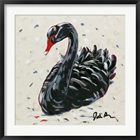 Black Swan Fine Art Print