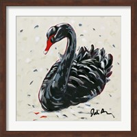 Black Swan Fine Art Print