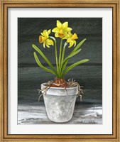Farmhouse Garden I-Daffodils Fine Art Print
