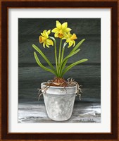 Farmhouse Garden I-Daffodils Fine Art Print