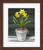 Farmhouse Garden I-Daffodils Fine Art Print