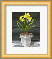 Farmhouse Garden I-Daffodils Fine Art Print