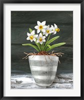 Farmhouse Garden II-White Daffodils Fine Art Print