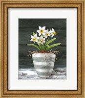 Farmhouse Garden II-White Daffodils Fine Art Print