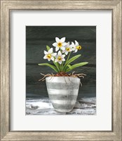 Farmhouse Garden II-White Daffodils Fine Art Print