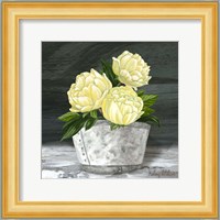 Farmhouse Garden square-Peonies Fine Art Print