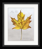 Autumn Leaves on Gray I-Maple Framed Print
