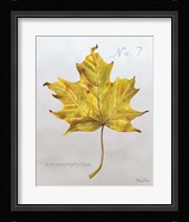 Autumn Leaves on Gray II-Maple 2 Framed Print