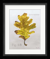 Autumn Leaves on Gray III-Oak Framed Print