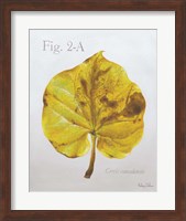 Autumn Leaves on Gray IV-Redbud Fine Art Print