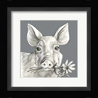 Pig Framed Print