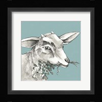 Goat Framed Print